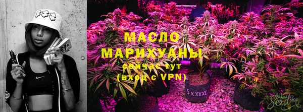 соль ск Алексин