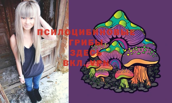 2c-b Алексеевка