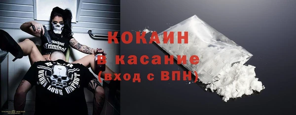 стаф Алзамай