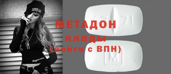 стаф Алзамай