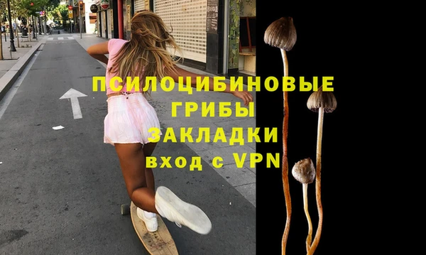 соль ск Алексин