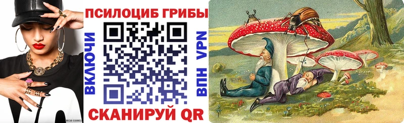 Галлюциногенные грибы мухоморы  купить  цена  Ардатов 